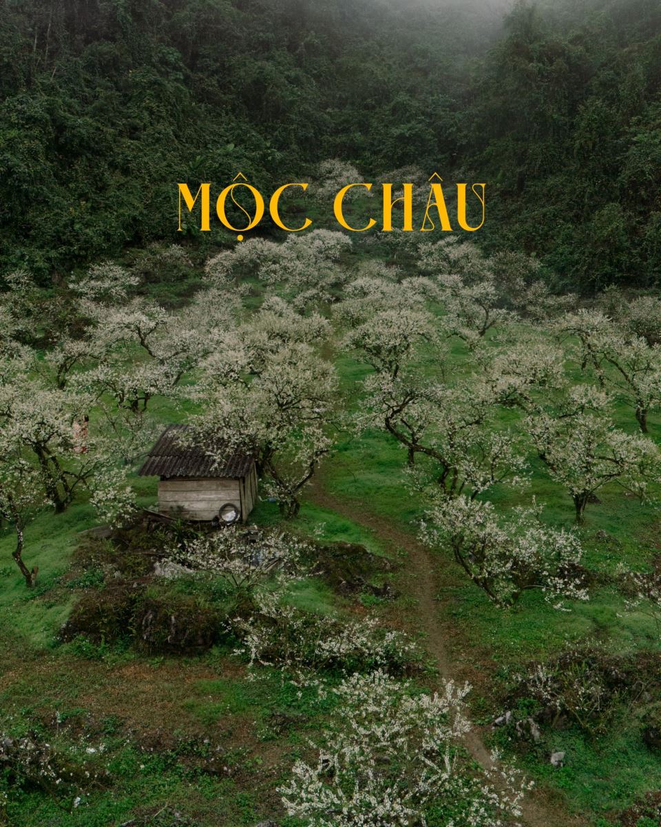 du lịch mộc châu