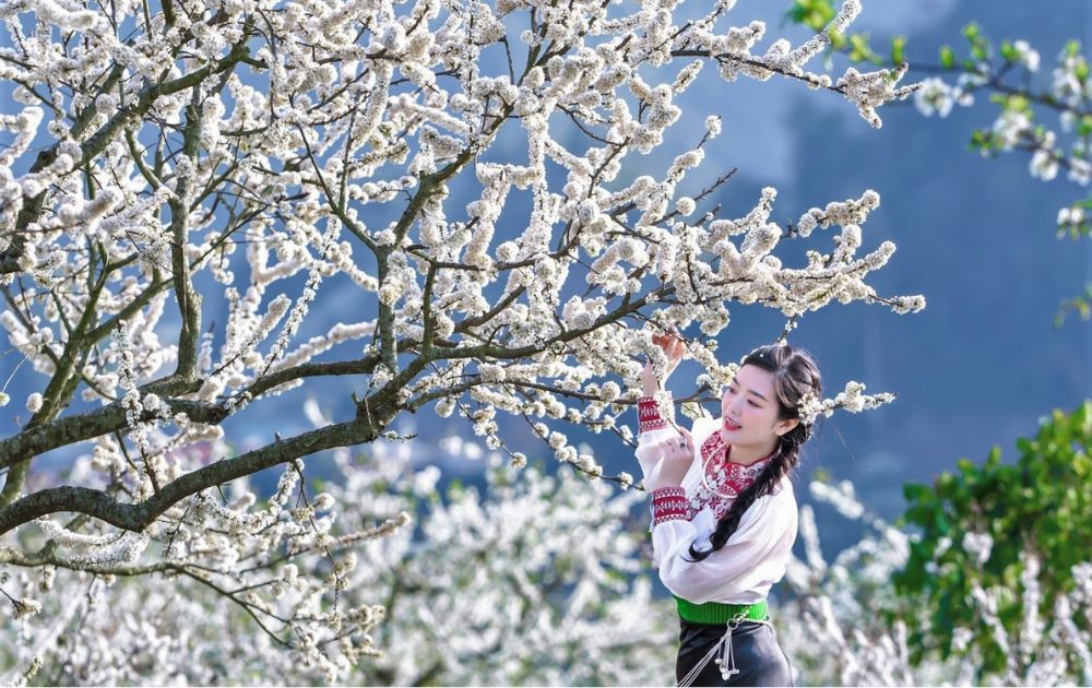 du lịch mộc châu